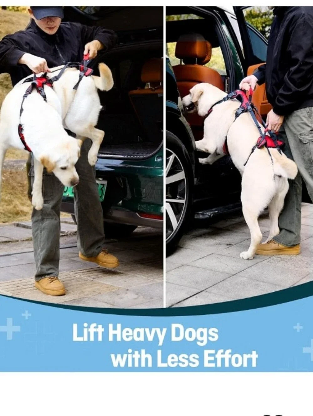 Dog Lift Harness for Extra Large Dogs, Heavy Dog Lifting Support Harness Size:XL